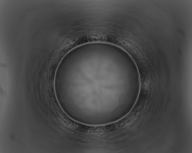 X0000090990817200708021520