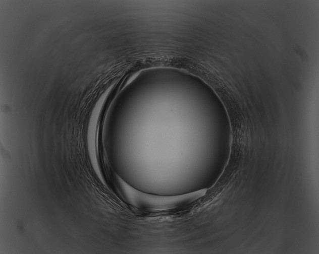 X0000090990818200708021520