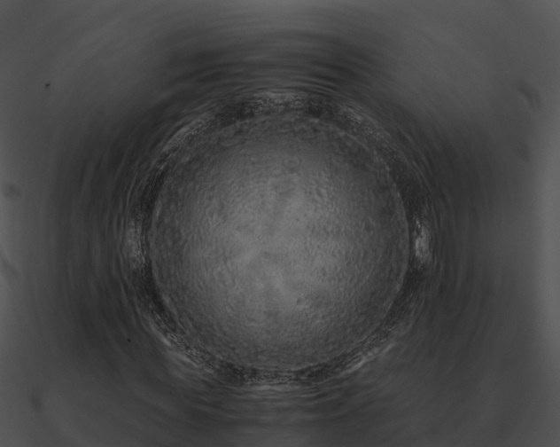 X0000090990819200708021520