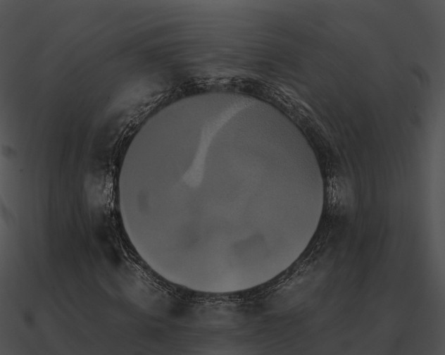 X0000090990820200708021520