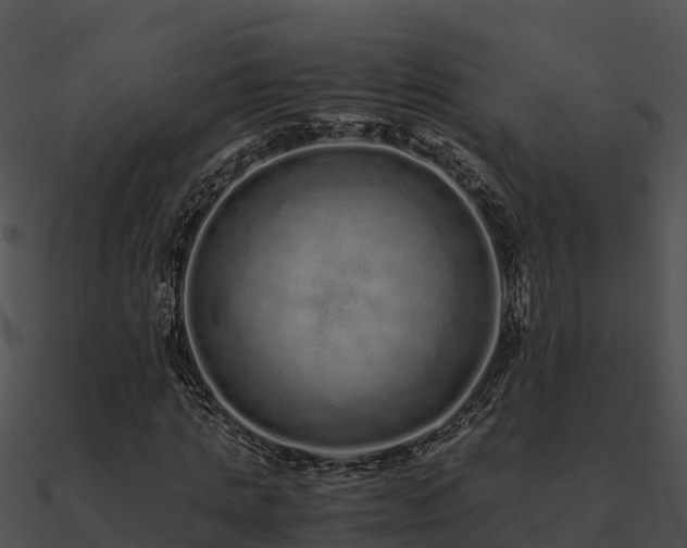 X0000090990821200708021520
