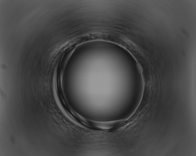 X0000090990822200708021520