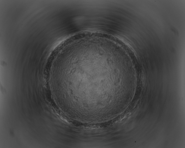 X0000090990823200708021520