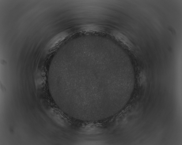X0000090990824200708021520