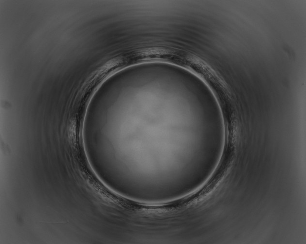X0000090990825200708021520