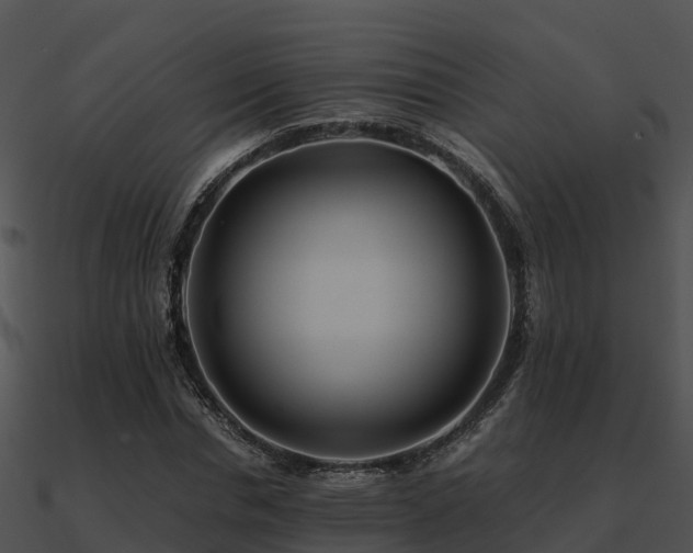 X0000090990826200708021520