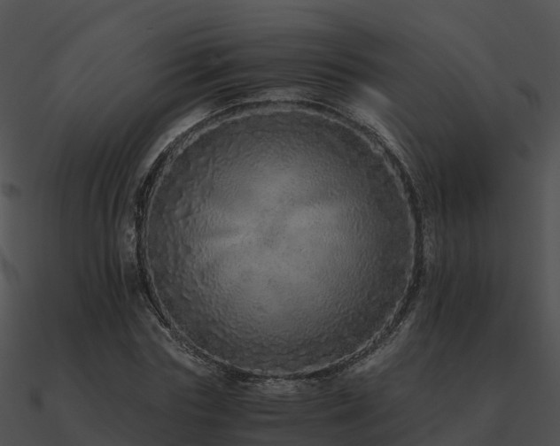 X0000090990827200708021520