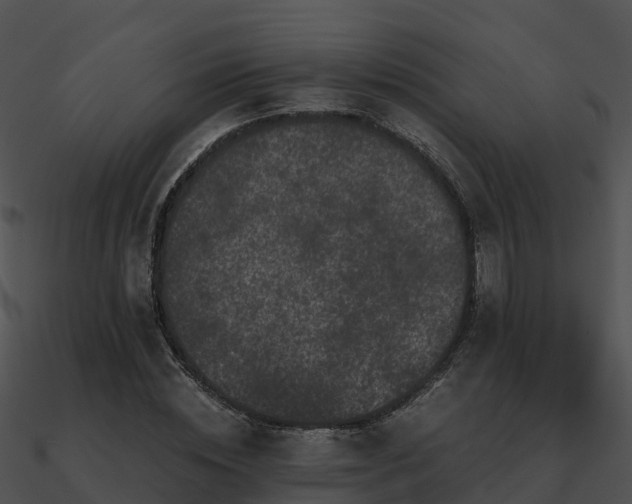 X0000090990828200708021520