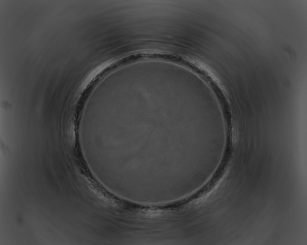 X0000090990829200708021520