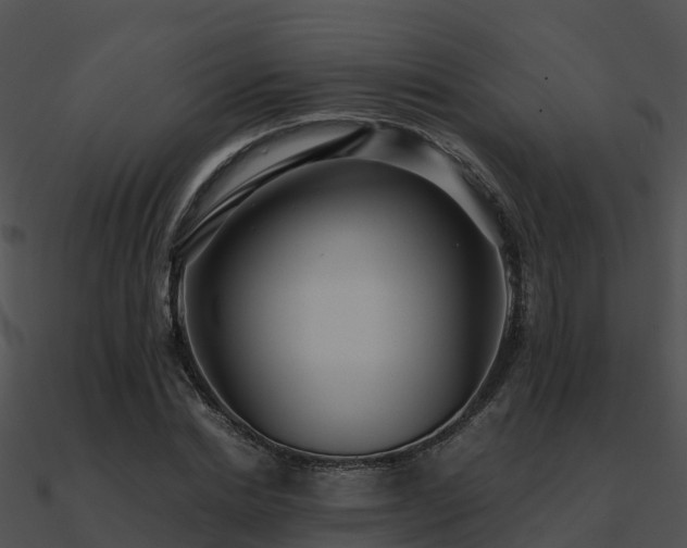 X0000090990830200708021520