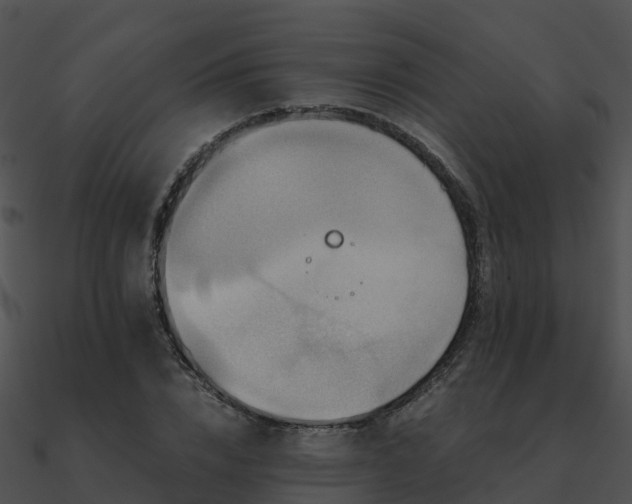 X0000090990832200708021520
