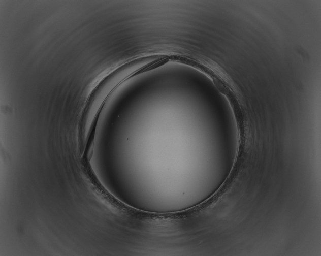 X0000090990834200708021520