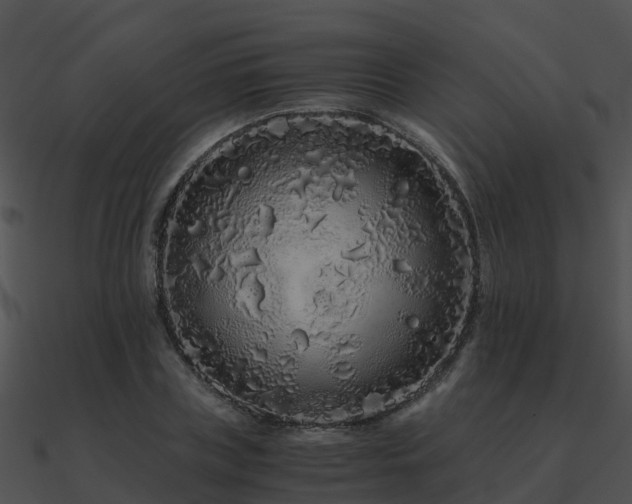 X0000090990835200708021520