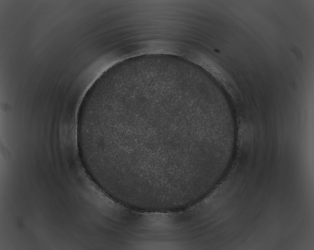X0000090990836200708021520