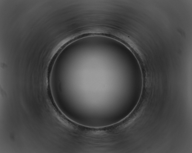 X0000090990837200708021520
