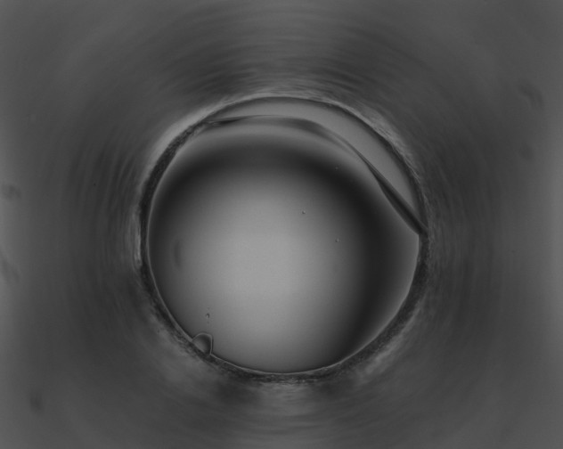 X0000090990838200708021520