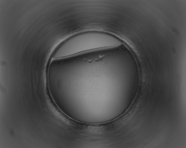 X0000090990840200708021520