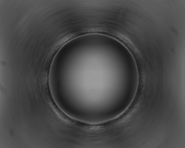 X0000090990841200708021520