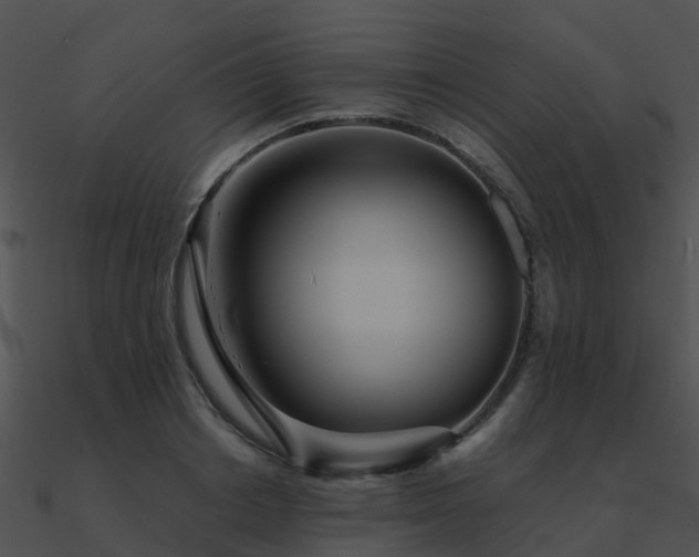 X0000090990842200708021520