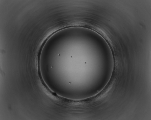 X0000090990843200708021520