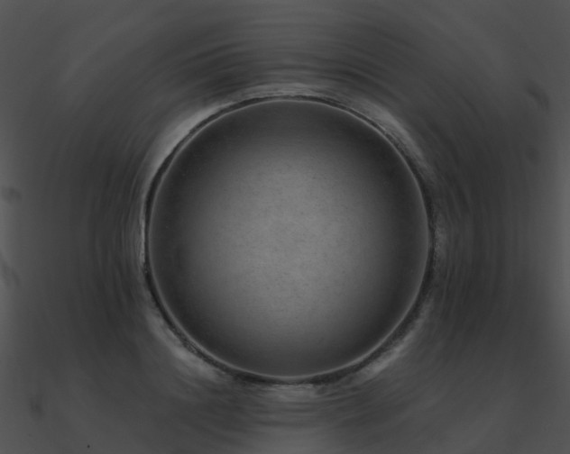 X0000090990844200708021520