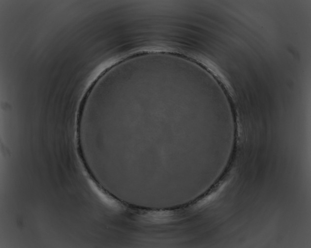 X0000090990845200708021520