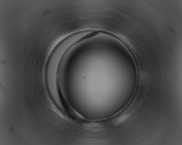 X0000090990846200708021520