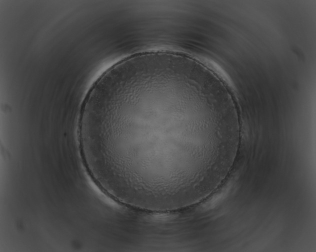 X0000090990847200708021520