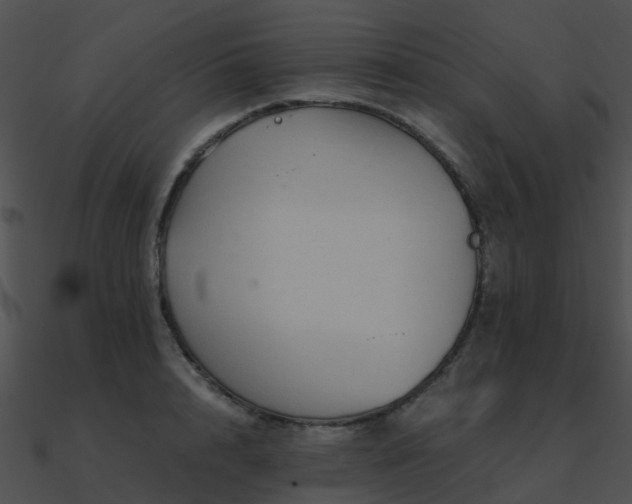 X0000090990848200708021520