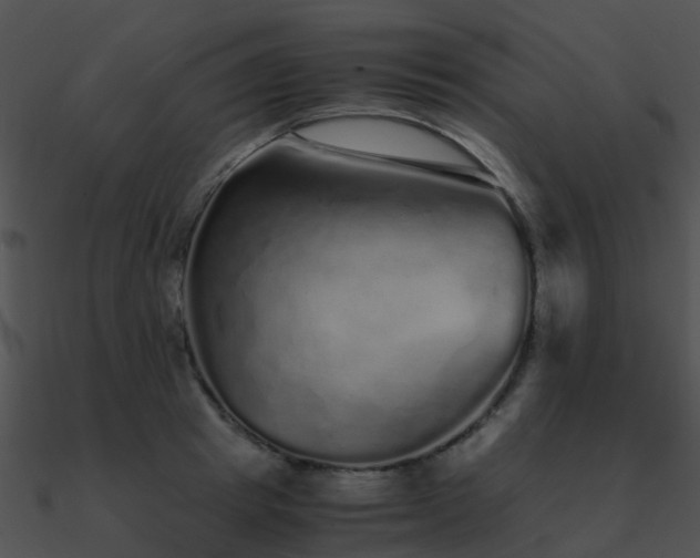 X0000090990849200708021520