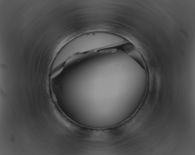 X0000090990850200708021520