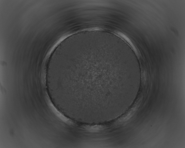 X0000090990851200708021520