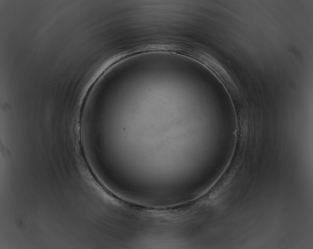 X0000090990852200708021520