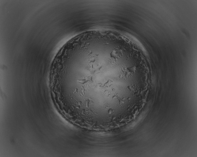 X0000090990855200708021520