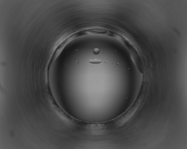 X0000090990858200708021520