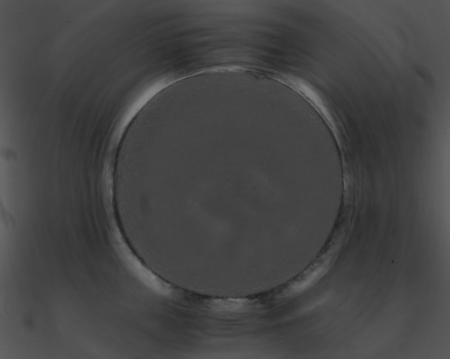 X0000090990859200708021520