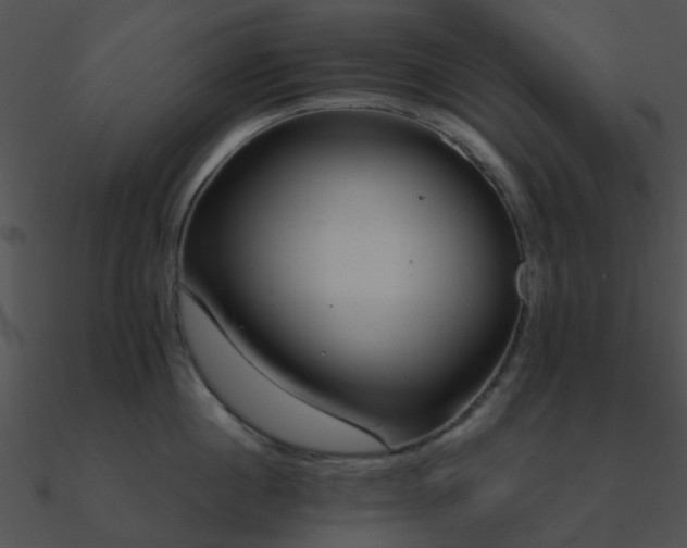 X0000090990860200708021520