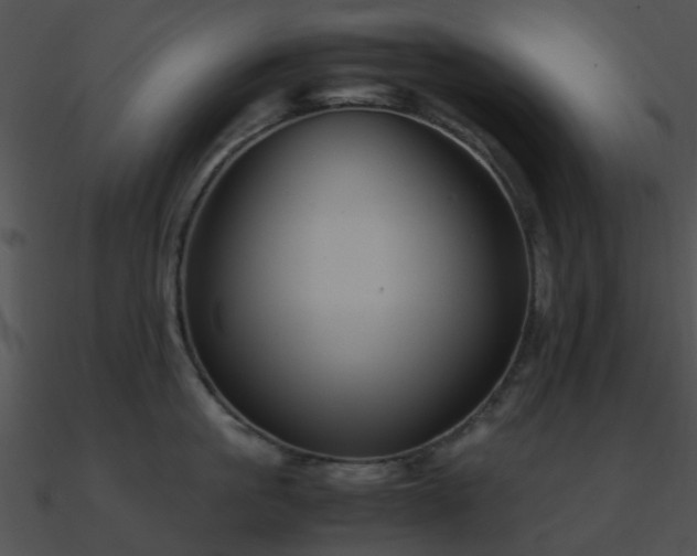 X0000090990861200708021520