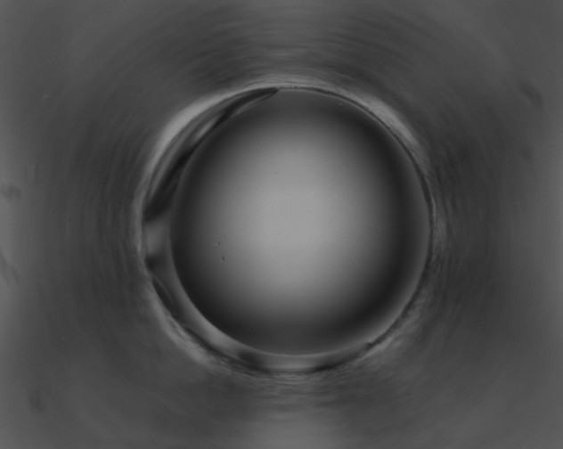 X0000090990862200708021520