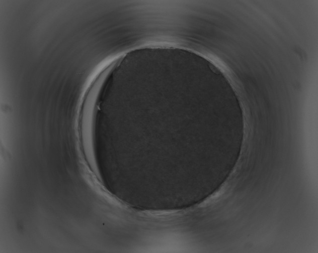 X0000090990864200708021520