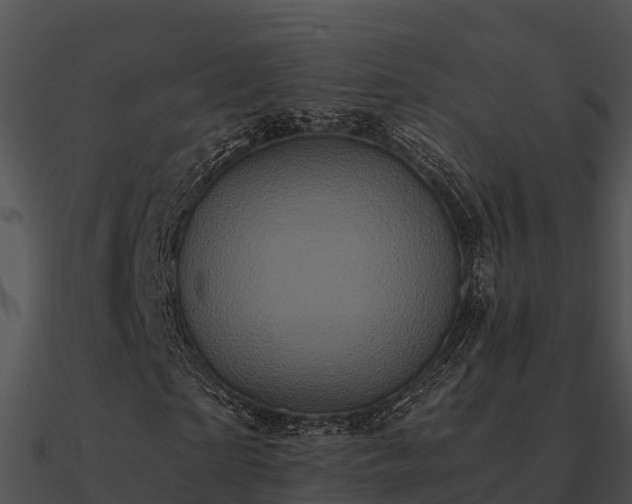 X0000090990865200708021520