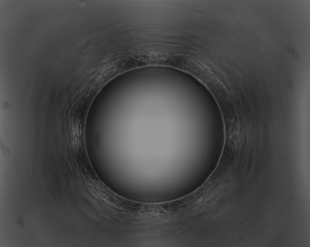 X0000090990866200708021520
