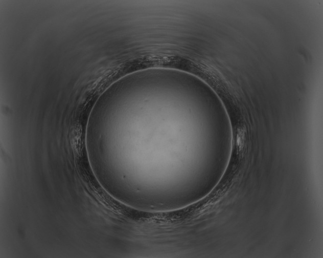 X0000090990867200708021520