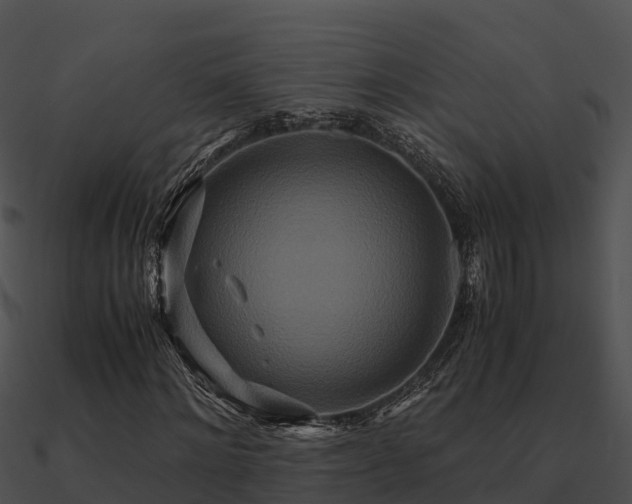 X0000090990868200708021520