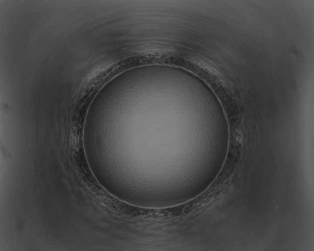 X0000090990869200708021520