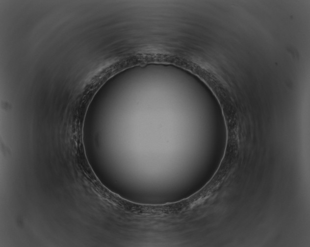 X0000090990870200708021520