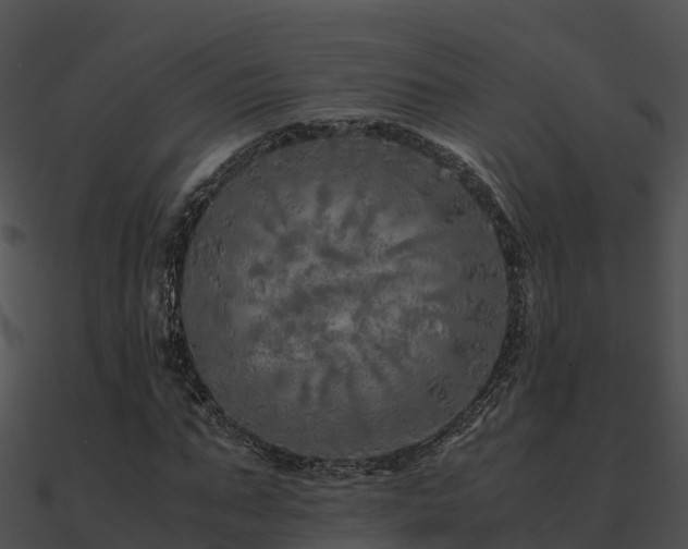X0000090990871200708021520