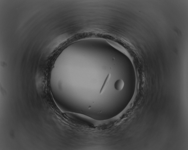 X0000090990872200708021520