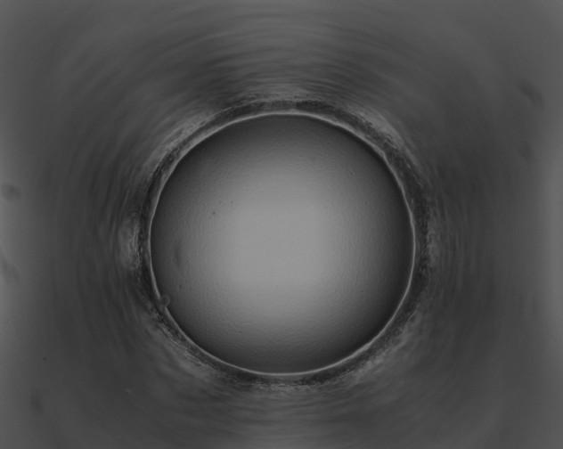 X0000090990873200708021520