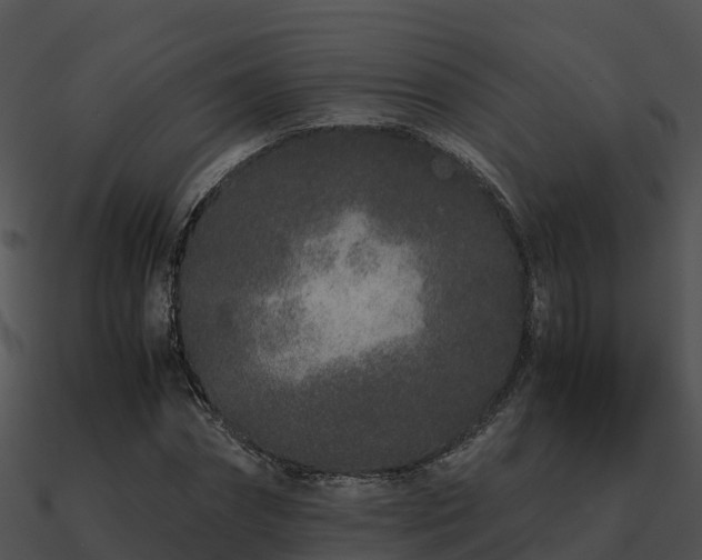 X0000090990874200708021520